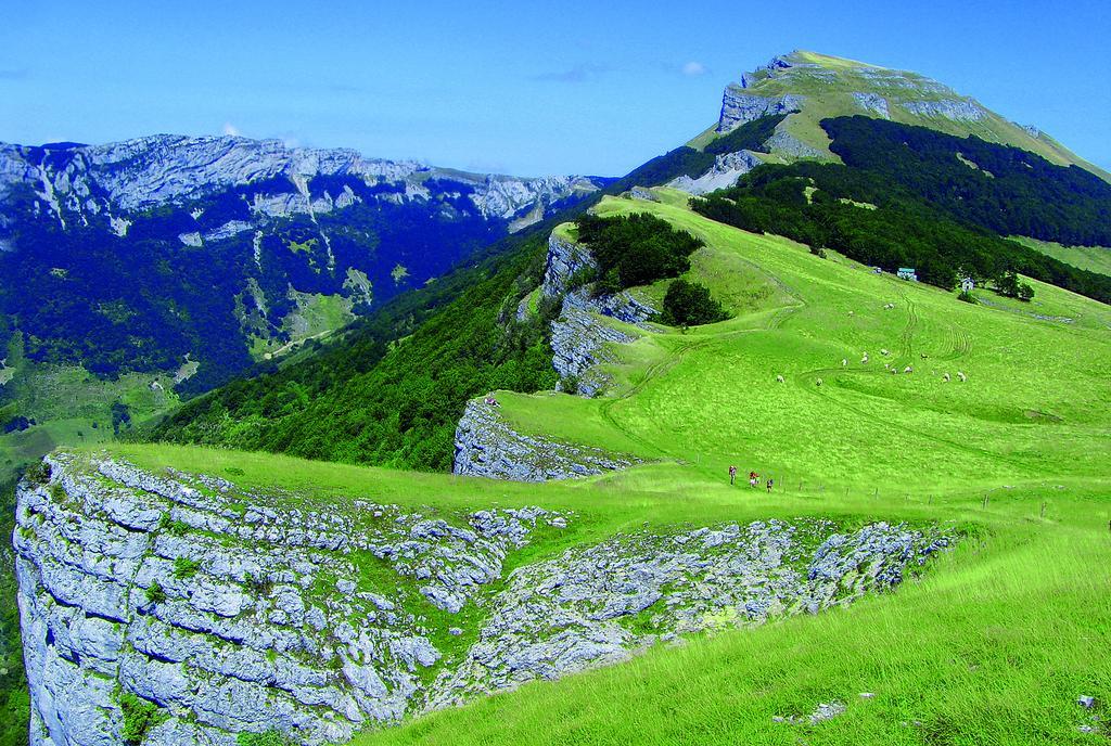 Roulottes Au Pied Du Vercors Сен-Жан-ан-Руаян Екстер'єр фото